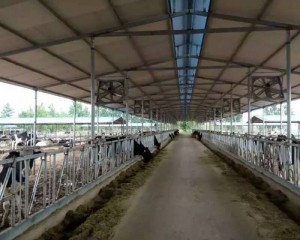 在线看片福利安裝現場