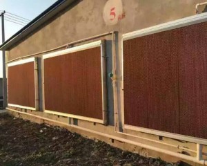 看片APP大全安裝現場