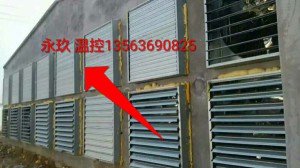 在线看片福利安裝現場