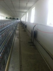 在线看片福利安裝現場