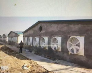 在线看片福利安裝現場