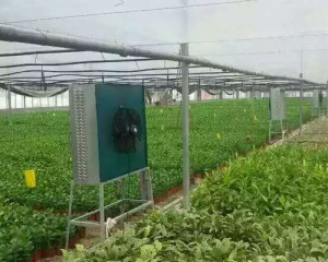 在线看片福利安裝現場