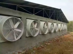 在线看片福利安裝現場