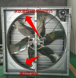 推拉式在线看片福利