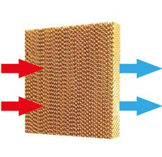 看片APP大全（水簾）