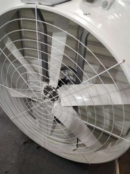 牛舍在线看片福利 